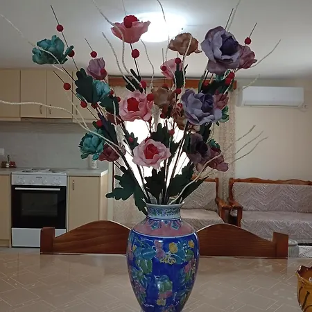 Apartment Eirini's House